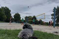 IMG-20230826-WA0018