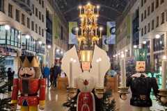 img_20241128_1910126-large