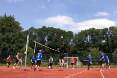 vlcsnap-2024-07-03-12h37m33s246-large