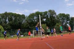 vlcsnap-2024-07-03-12h44m09s161-large